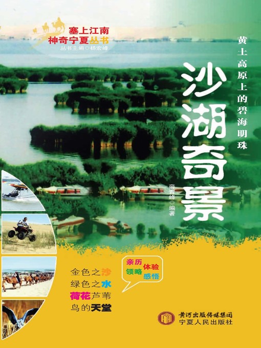 Title details for 沙湖奇景 (Wonderful View of the Sand Lake) by 薛青峰 - Available